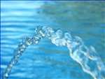 100_0558 (SHPX001)