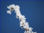 100_3543 (SHPX001)